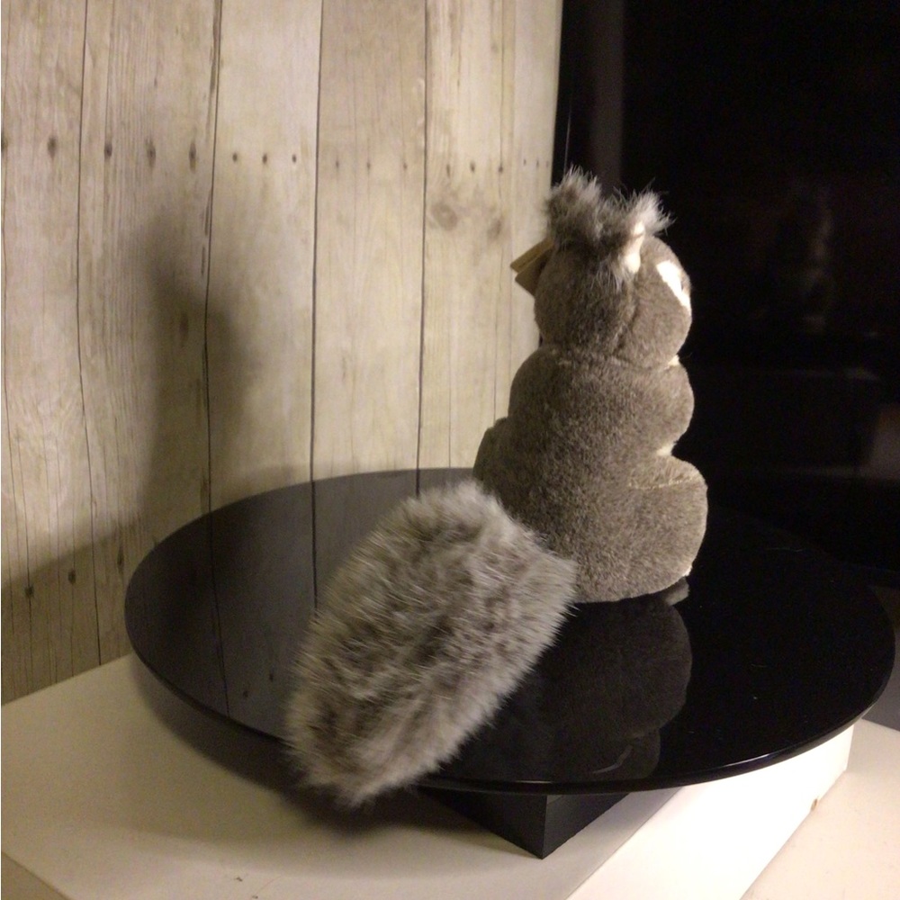 Squirrel - Picture 4 of 5